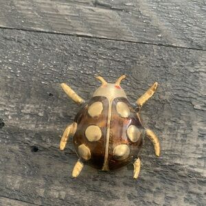 Vintage Enamel Brown and Gold Lady Bug Brooch Pin